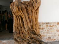 /album/photogallery/p7070135-jpg/